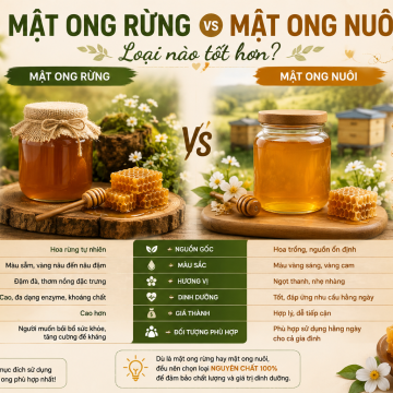Mật ong rừng và mật ong nuôi loại nào tốt hơn? So sánh chi tiết